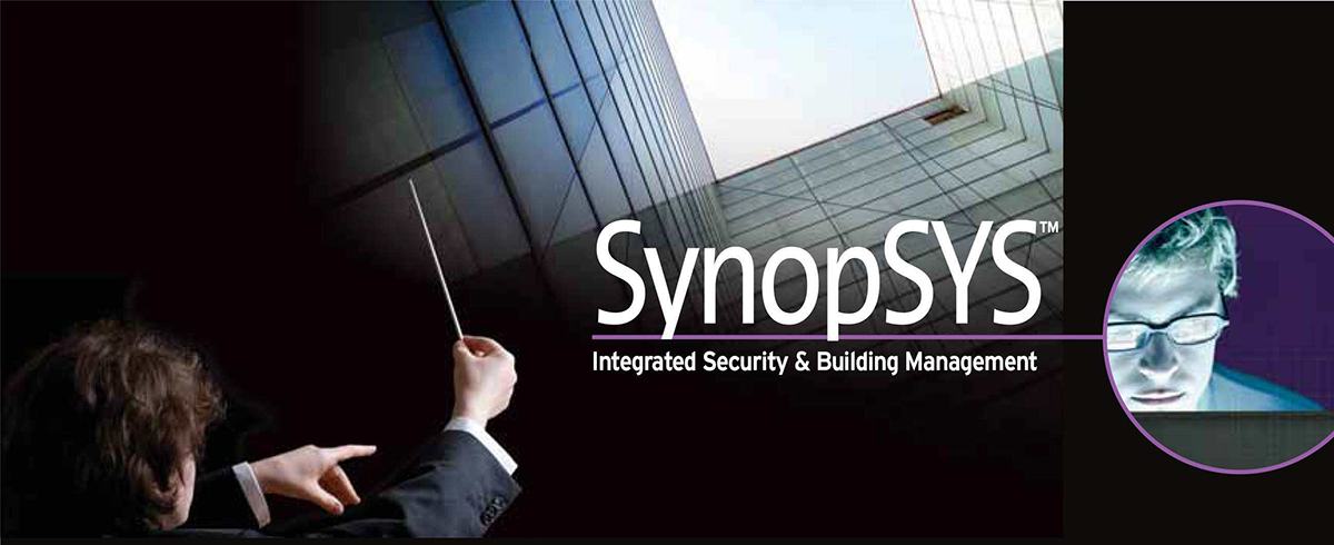 Synopsys di RISCO dettagli